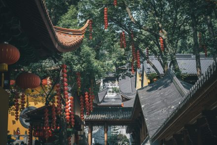 TEFL Certification for China