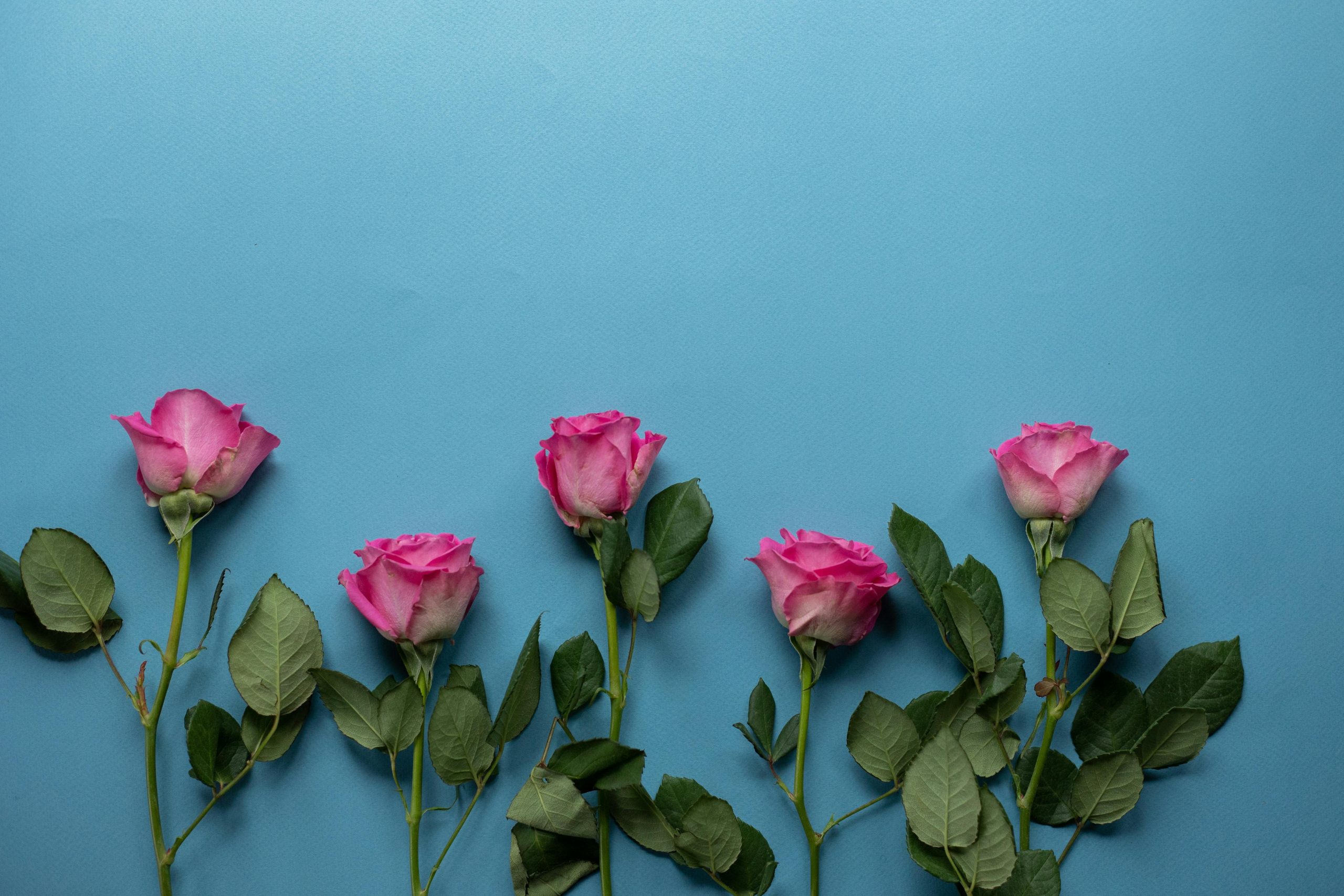 Valentine’s Day Special: Most Romantic Festivals in China!