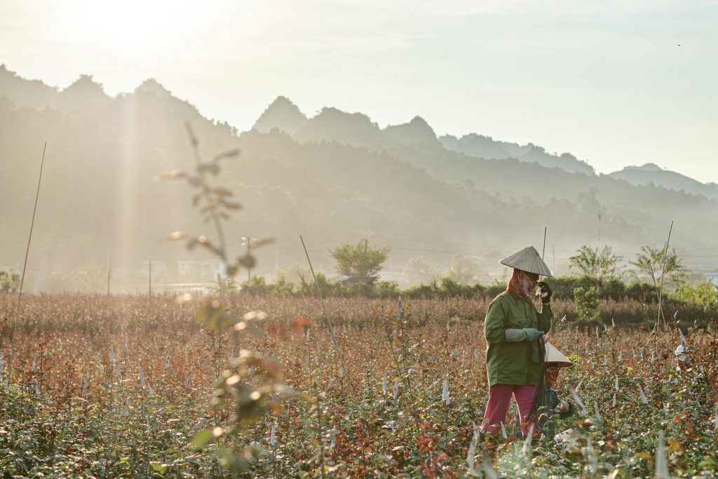 Urban Agriculture in China