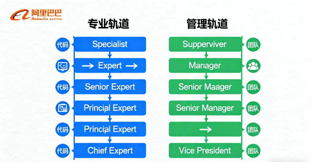Foreign employees in Hangzhou: E-commerce and Alibaba ecosystem career development 3 Foreign employees' career path infographic (professional vs management tracks) for ecosystem career development in Alibaba