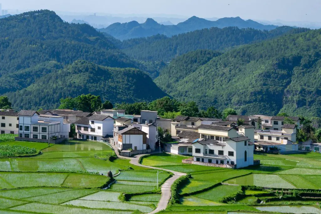 The 21st Century Rise of China‘s “Return Migration Economy” 4 return migration economy