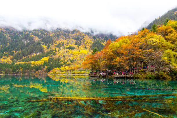 Beyond the Great Wall - 7 Extra Places to Visit in China 2 vibrant Chinese landscapes at Jiuzhaigou’s Five Flower Lake