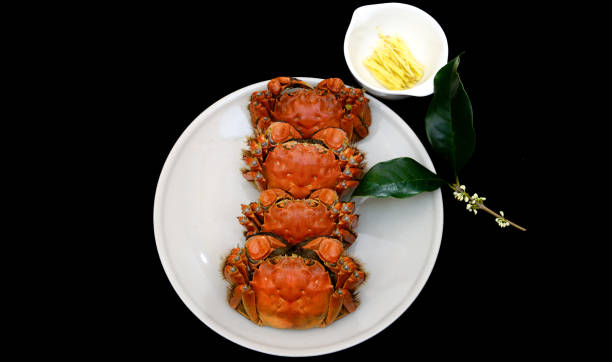 Strange, Expensive, What Makes Chinese Delicacies So Special?