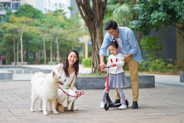 Dogs and Cats in China – Is China Pets-Friendly?