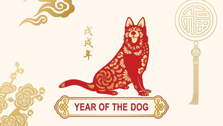 Fun Facts about the Year of the Dog