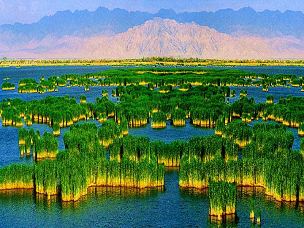 5. Ningxia Sand Lake.jpg