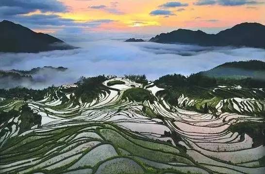 10. Zhejiang Yunhe Rice Terrace.jpg