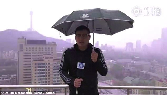 Xiao Dong (pictured), a Chinese weather anchor, reported in a storm on a rooftop  Photo:Dailymail