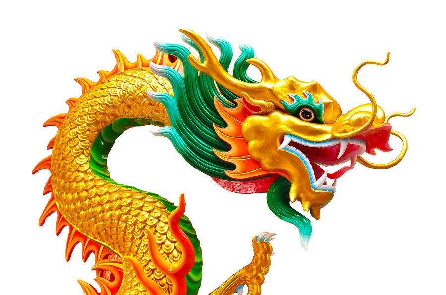 chinese-beautiful-dragon-isolated-on-white-background-nichapa-sornprakaysang1.jpg