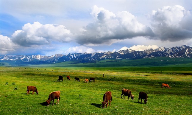 5. Xinjiang Nalati Grassland.jpg