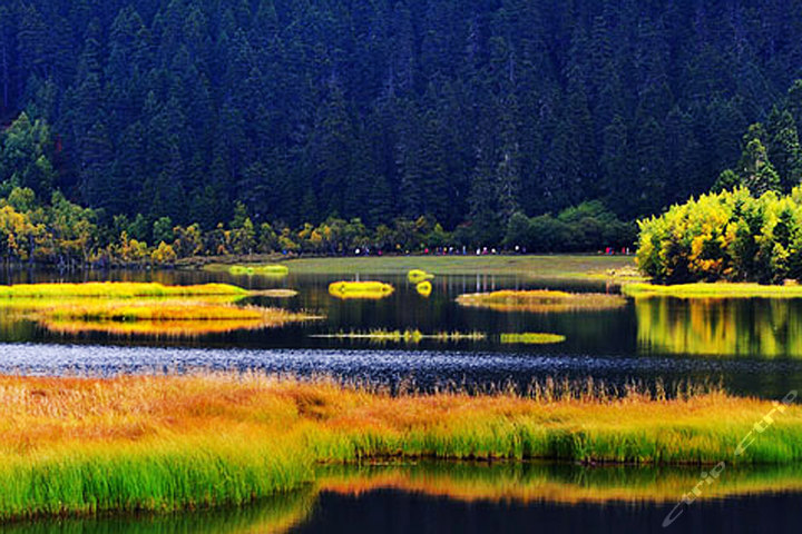 7. Yunnan Pudacuo National Park, Shangri-la.jpg